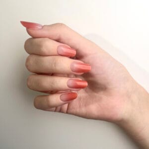 Gentle Sun | Pink Gradation